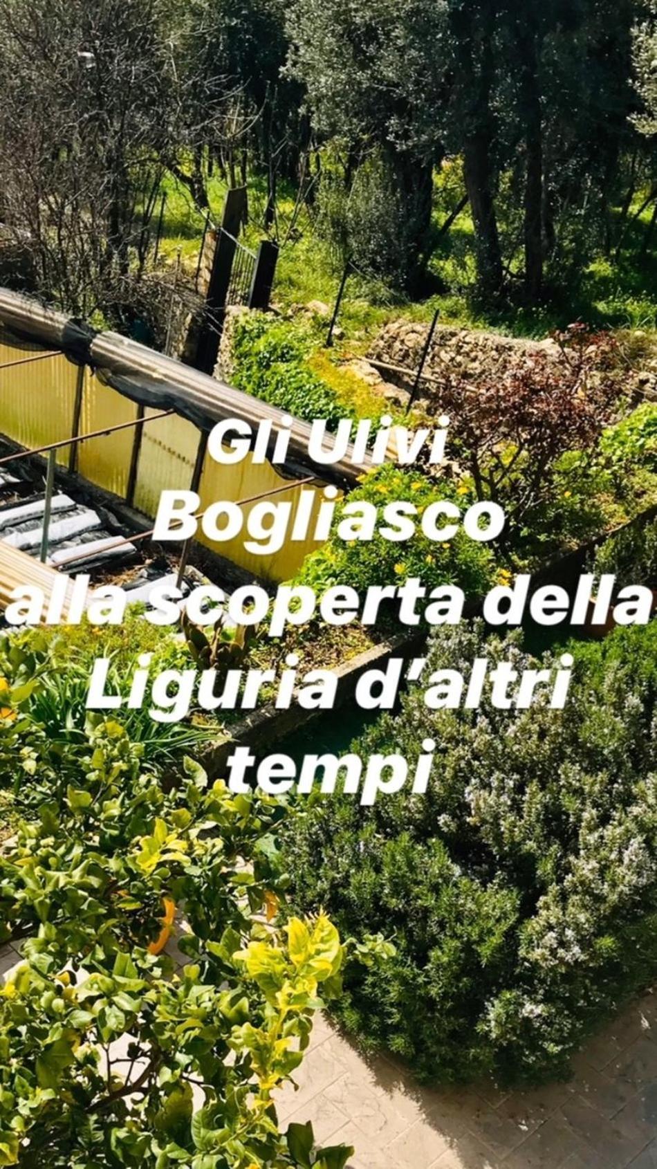 Cav Gli Ulivi Di Bogliasco Villa ภายนอก รูปภาพ