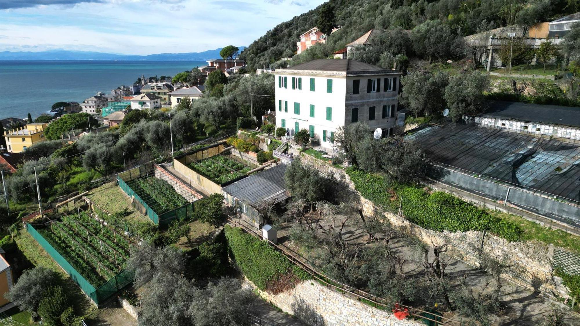 Cav Gli Ulivi Di Bogliasco Villa ภายนอก รูปภาพ