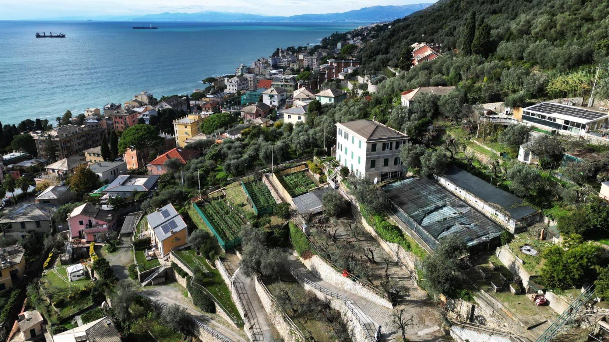 Cav Gli Ulivi Di Bogliasco Villa ภายนอก รูปภาพ